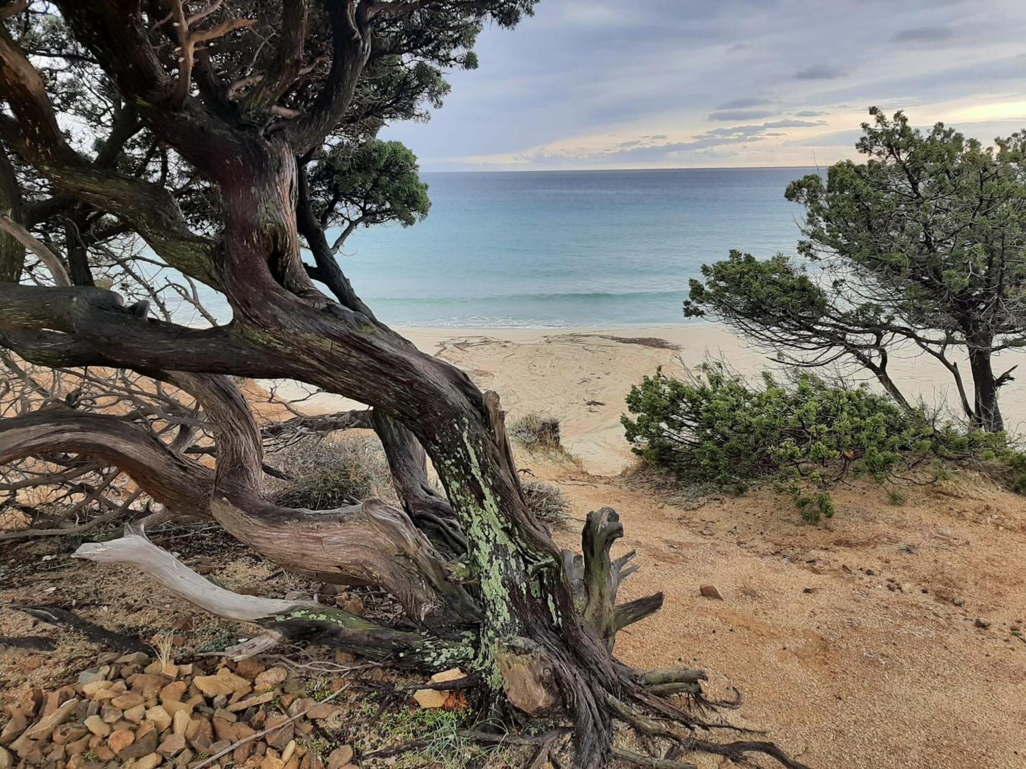 Resonance Experience - Tranquil Room Close To Beaches And Sacred Sites Sant Isidoro  Экстерьер фото