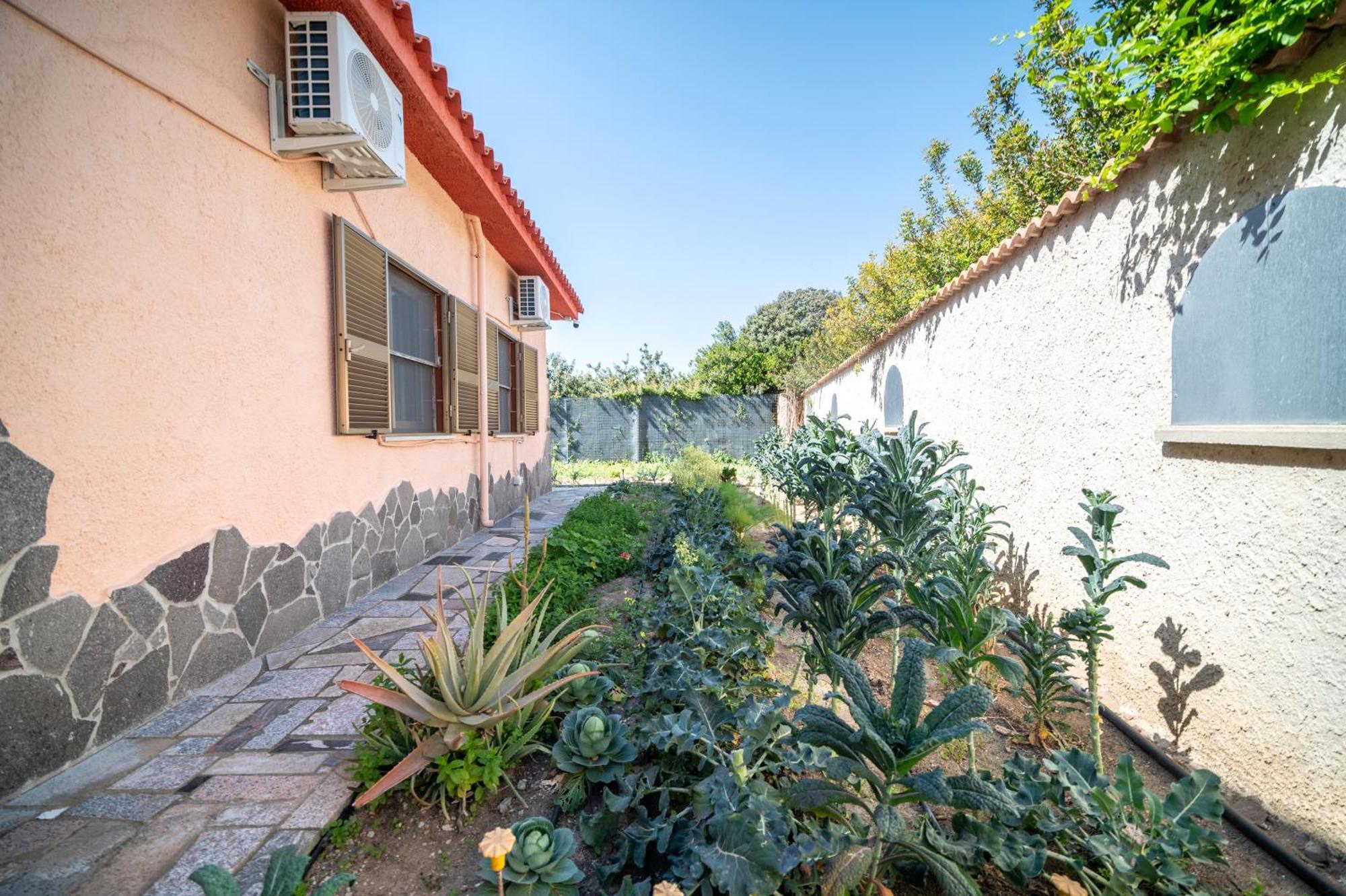 Resonance Experience - Tranquil Room Close To Beaches And Sacred Sites Sant Isidoro  Экстерьер фото